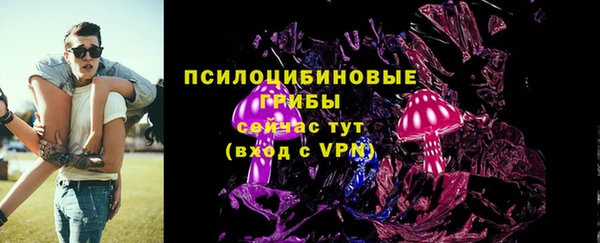 марки lsd Богданович