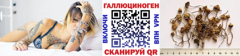 Галлюциногенные грибы ЛСД Менделеевск