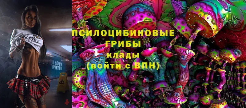 mega   Менделеевск  shop клад  Галлюциногенные грибы ЛСД 