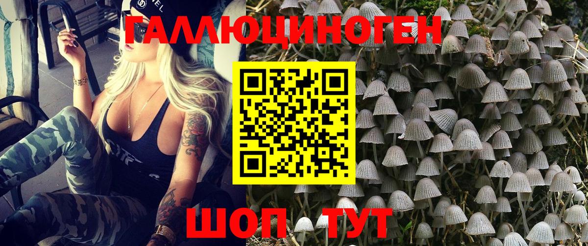 Галлюциногенные грибы мухоморы  Вход с VPN  Менделеевск 