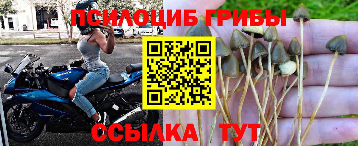 Галлюциногенные грибы GOLDEN TEACHER Менделеевск